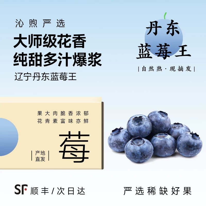 丹东蓝莓王花香蓝莓当季新鲜现摘孕妇水果脆甜整箱